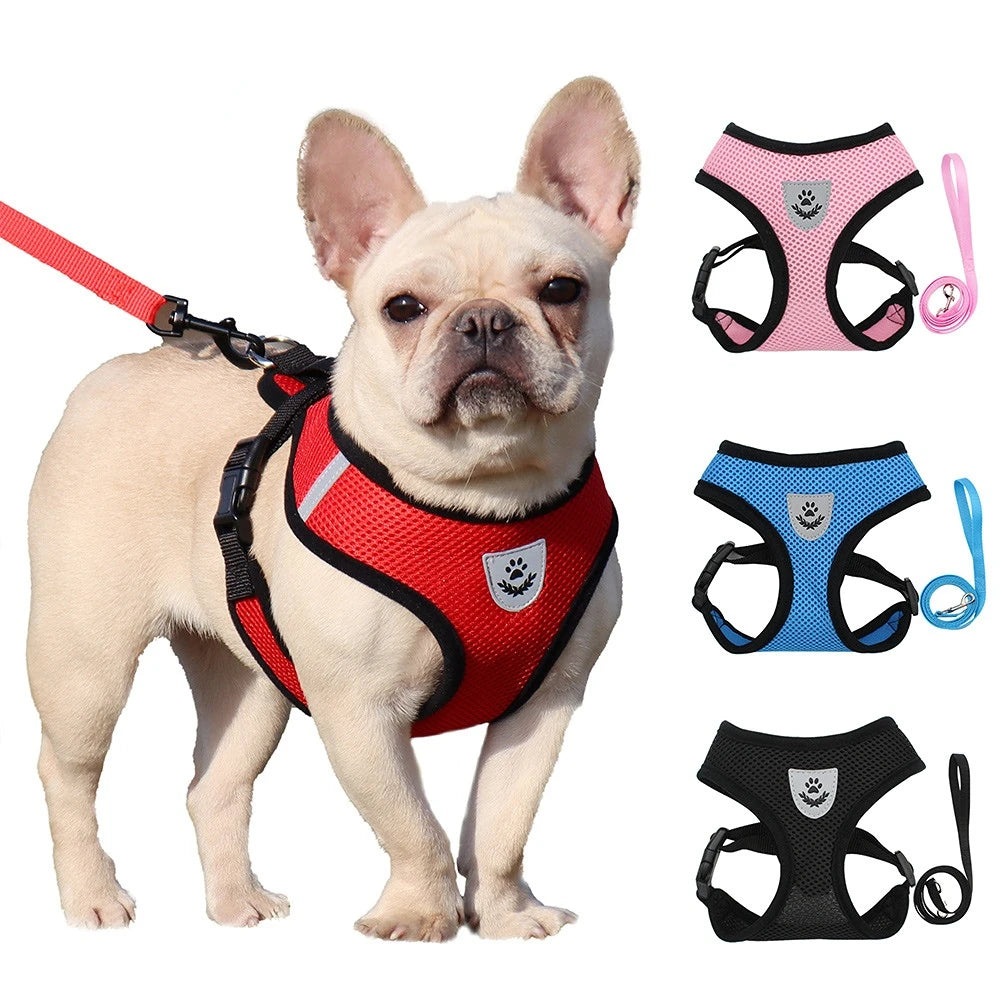 Breathable Mesh Dog & Cat Harness | Reflective, Quick-Release | Small to Medium | 6 Colours