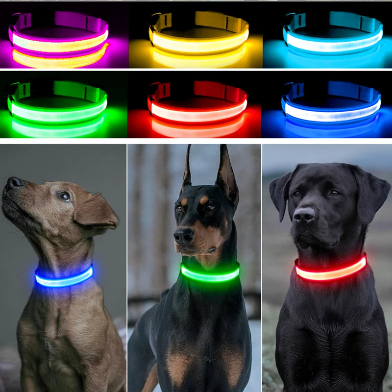 Pet Safety Gear: USB, Adjustable LED Rechargeable Safety Collar For Large Small Dogs / Rungear