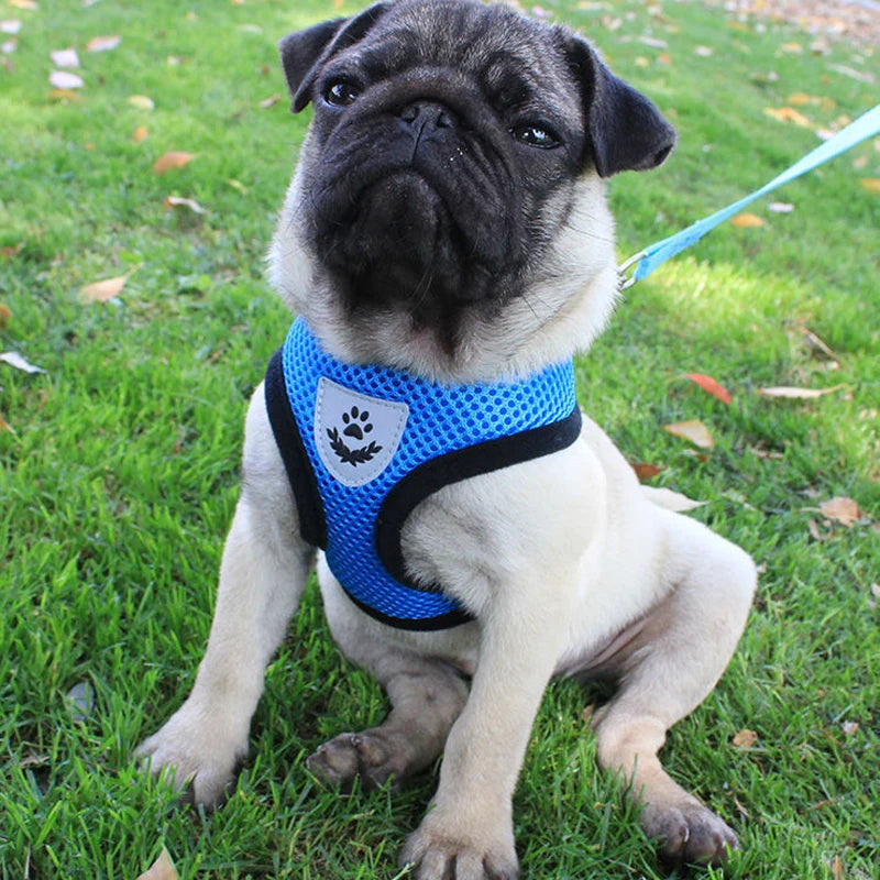 Breathable Mesh Dog & Cat Harness | Reflective, Quick-Release | Small to Medium | 6 Colours