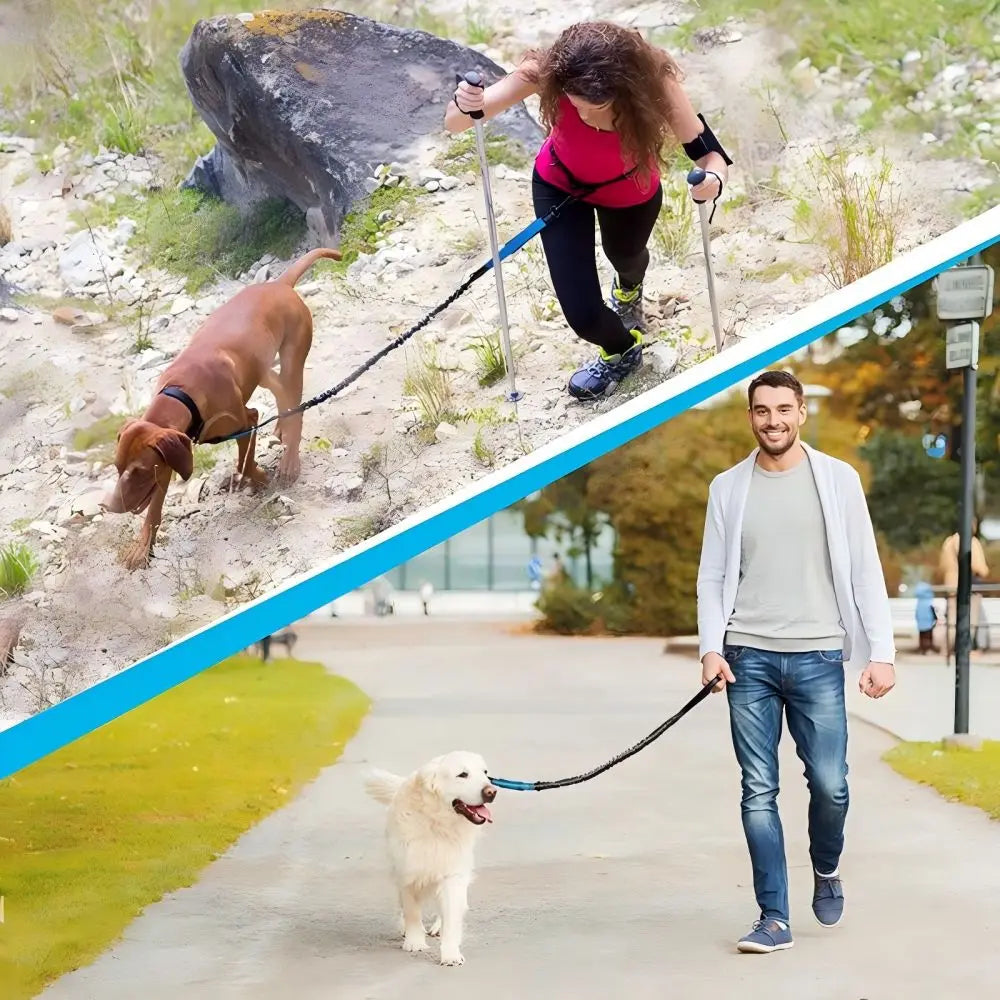 Dog Gear Accessories: Reflective, Hands Free, Retractable Belt Dog Leash with Adjustable Waist Rope For Outdoor Running / Rungear