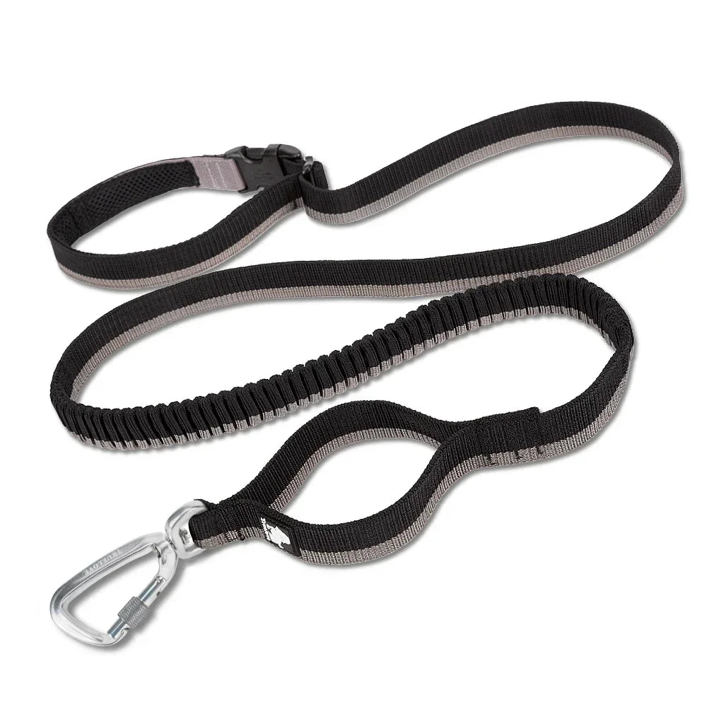 NEW Pet Hands-Free Reflective Stitching Bungee Leash For Medium to Large Dogs With Carabiner