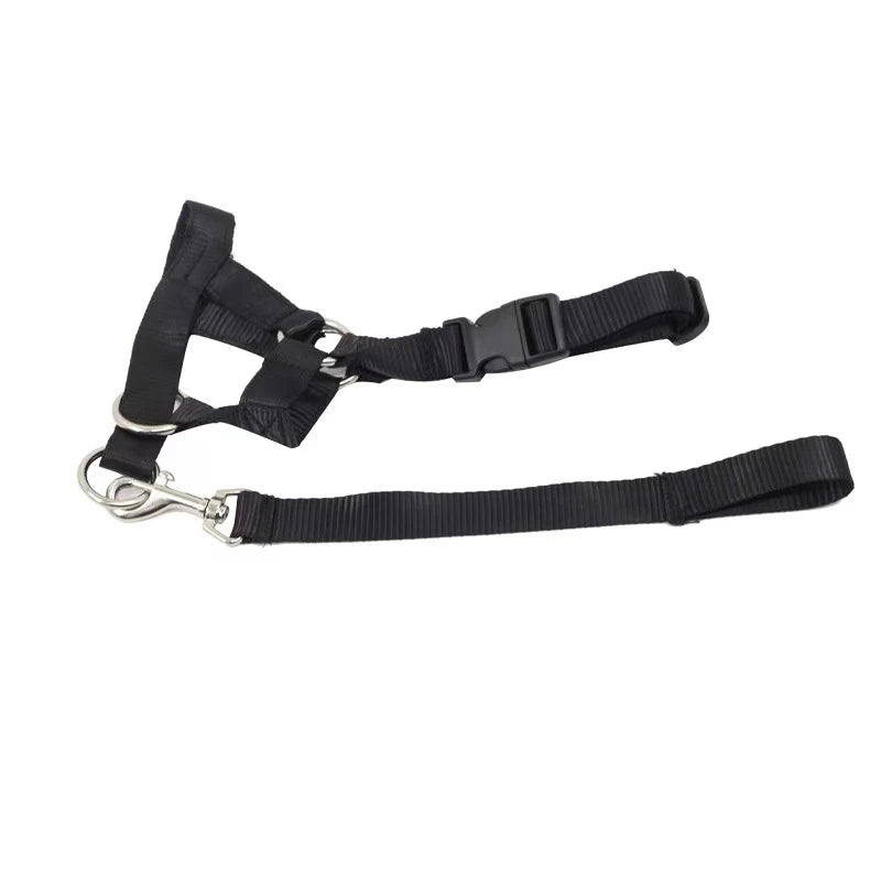 Running Dog Accessories: Adjustable Classic Muzzle Training Halter, Dog Collar With Dog Leash / Rungear