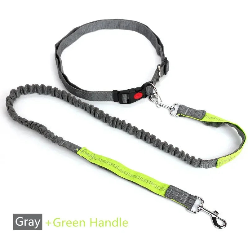 Retractable Dog Leash with Adjustable Waist Rope Hands Free Running Jogging Cycling