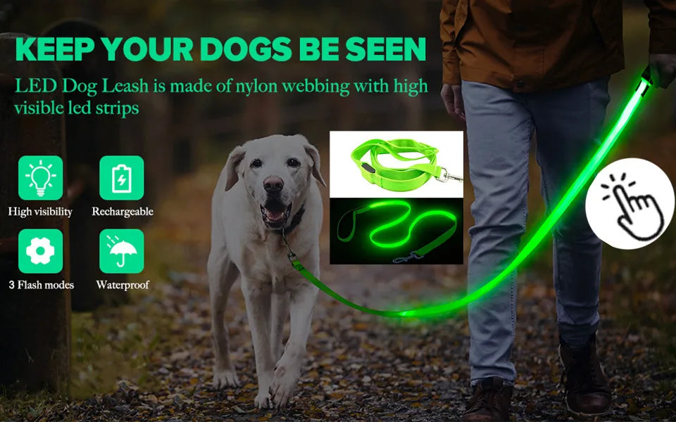 Pet Safety Gear: USB, Adjustable LED Rechargeable Safety Collar For Large Small Dogs / Rungear