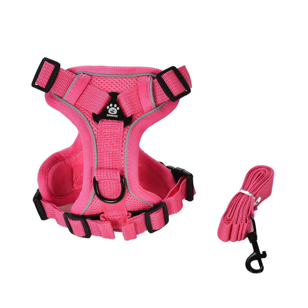 Reflective Running Dog Gear: Adjustable Harness Vest And Leash Set For Small To Medium Dogs / Rungear NZ