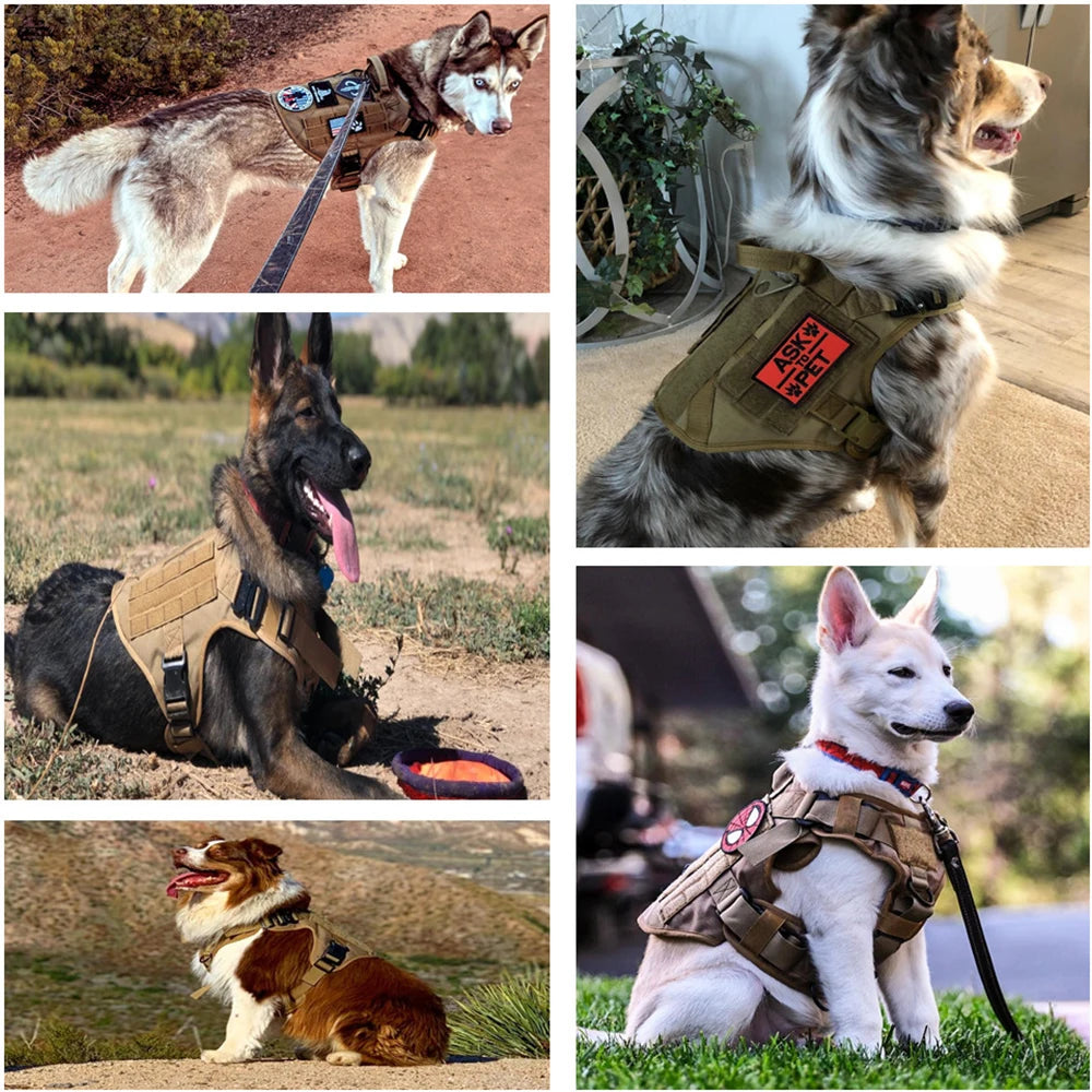 Tactical Military Dog Harness | Padded, Quick-Release Vest for Medium & Large Dogs | S–XL