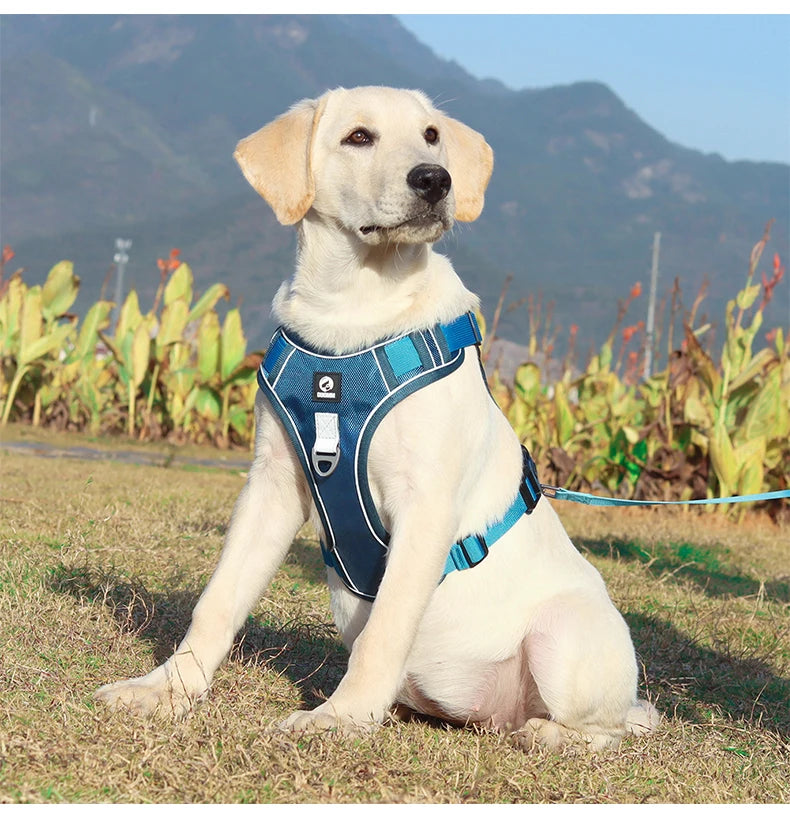 Reflective Oxford Cloth Dog Harness Vest | Adjustable Buckle for Medium & Large Dogs | S–XL