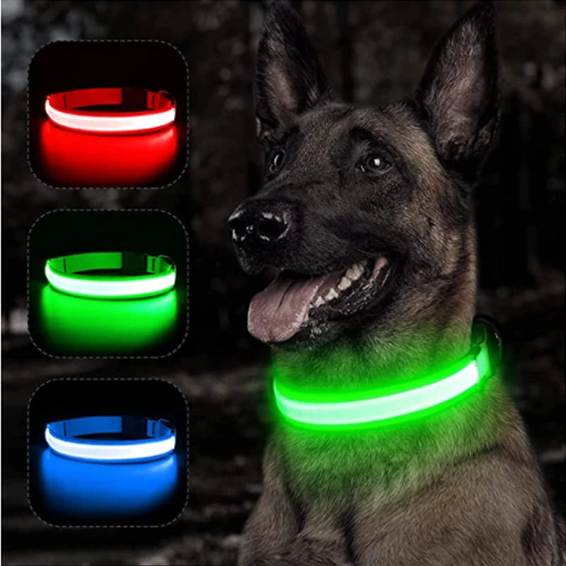 Pet Safety Gear: USB, Adjustable LED Rechargeable Safety Collar For Large Small Dogs / Rungear