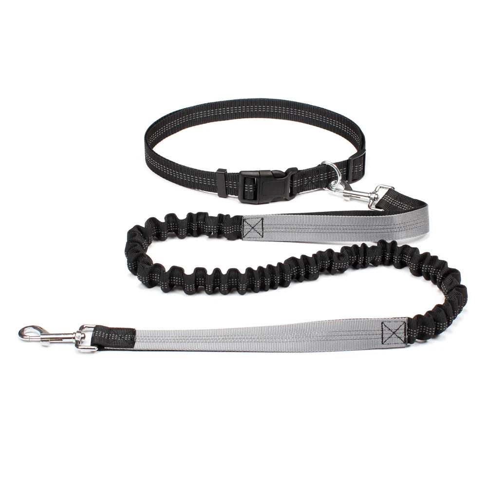 Hands-Free Dog Leash | Adjustable Waist Belt & Chest Strap for Walking, Running & Hiking