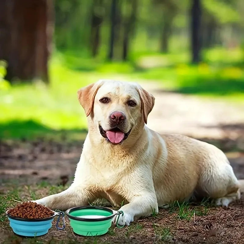 2-Pack Collapsible Dog Bowl with Lid & Carabiner Clip — Portable Silicone Food & Water Dish for Travel, Hiking & Runs