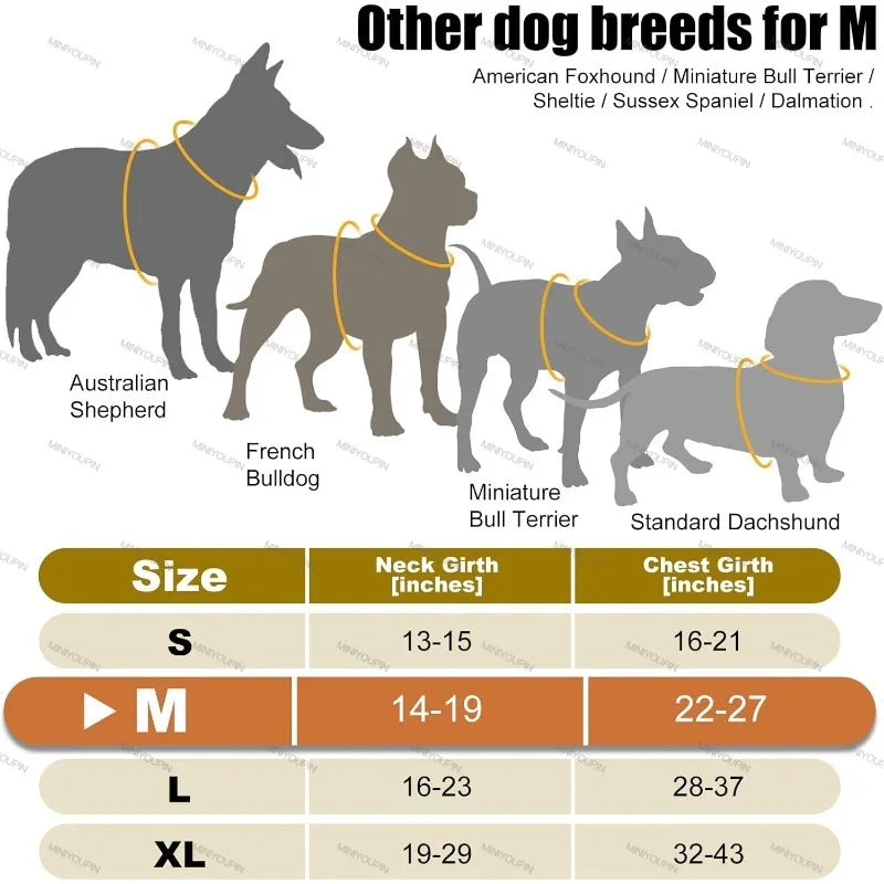 LED Rechargeable Luminous Dog Harness Essential for Dog Walking Safety at Night Dog Vest with Three LED Light Modes