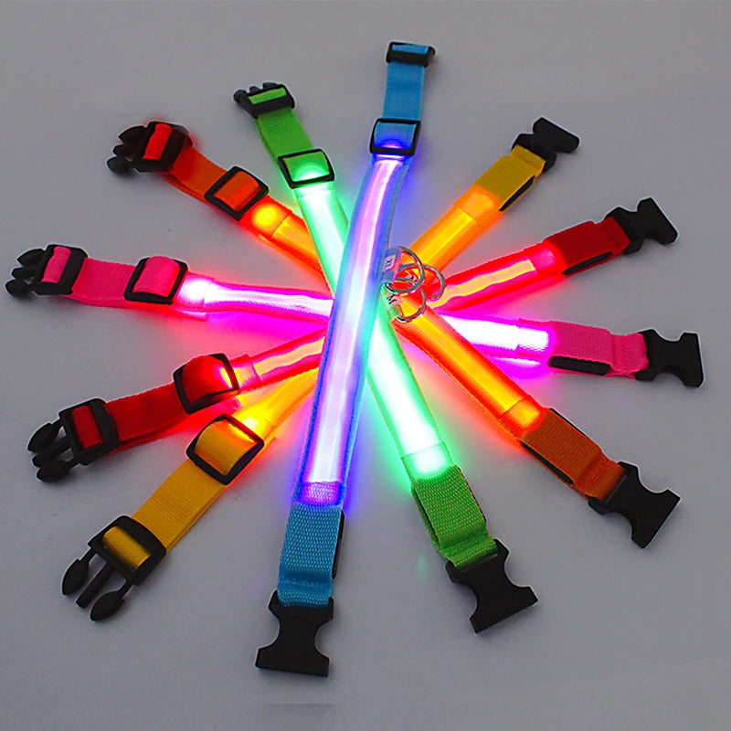 Pet Safety Gear: USB, Adjustable LED Rechargeable Safety Collar For Large Small Dogs / Rungear