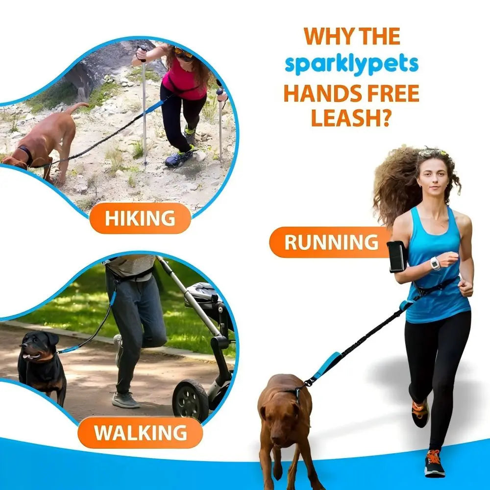 Dog Gear Accessories: Reflective, Hands Free, Retractable Belt Dog Leash with Adjustable Waist Rope For Outdoor Running / Rungear