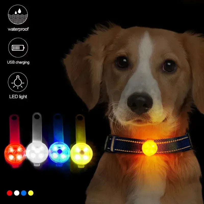 Dog Safety Gear: LED Pet Tracking Luminous Pendant, Weatherproof LED Safety Light USB Rechargeable Safety / Rungear