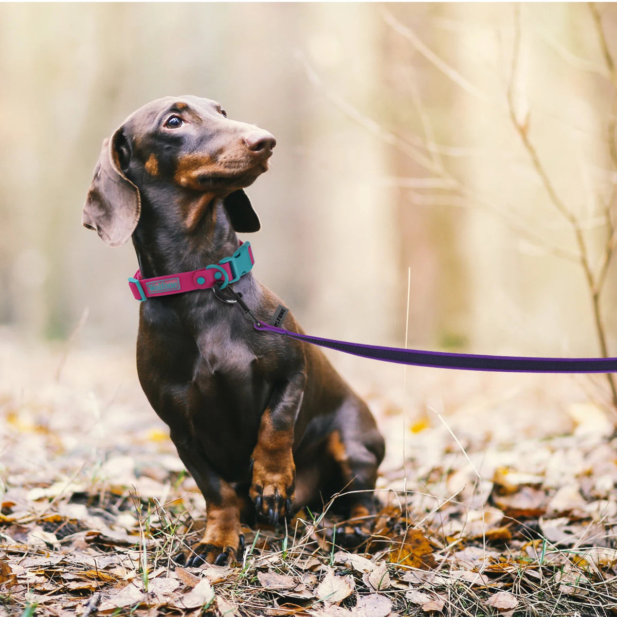 Coloured Dog Training Leash | Soft Fibre Lead in 6 Lengths & 8 Colours — 1.5M to 15M