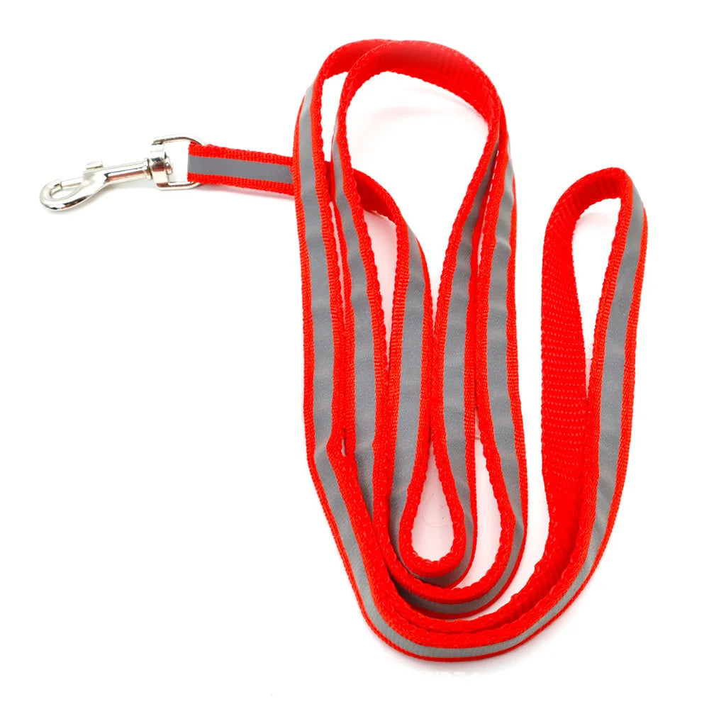 Reflective Dog Collar with Buckle & Bell | Breakaway Safety Collar for Dogs — 13 Colours