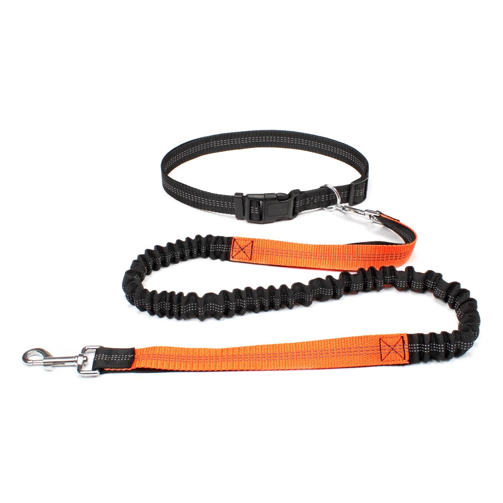 Hands-Free Dog Leash | Adjustable Waist Belt & Chest Strap for Walking, Running & Hiking