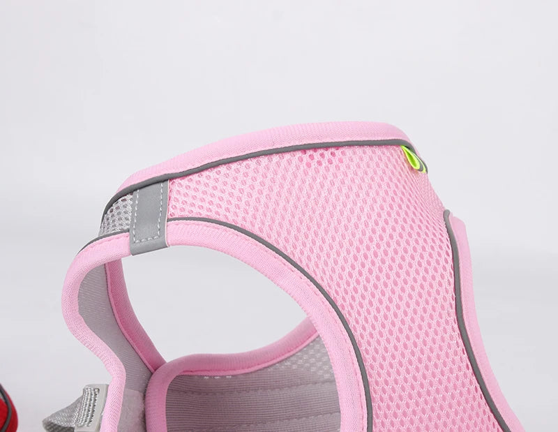 Adjustable Dog Harness Leash Set for Small Dogs