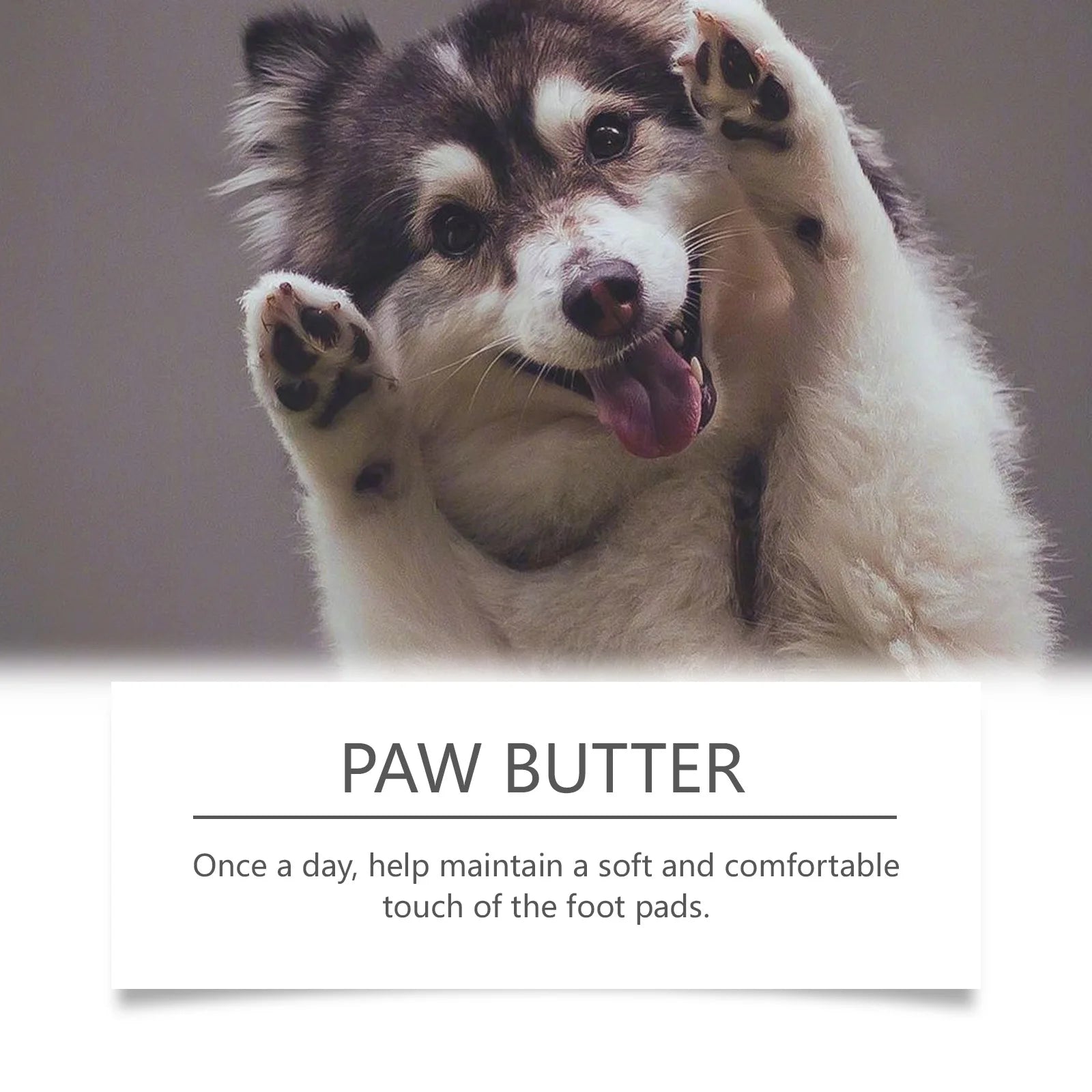 Beeswax Paw & Nose Balm for Dogs & Cats — 30g Moisturising Repair Cream