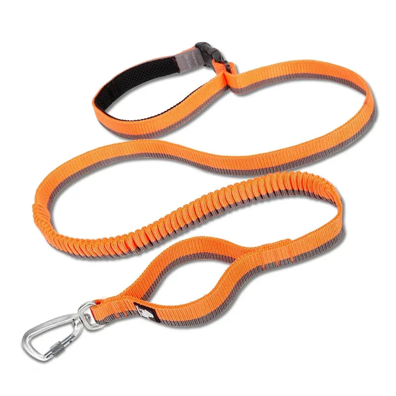 NEW Pet Hands-Free Reflective Stitching Bungee Leash For Medium to Large Dogs With Carabiner