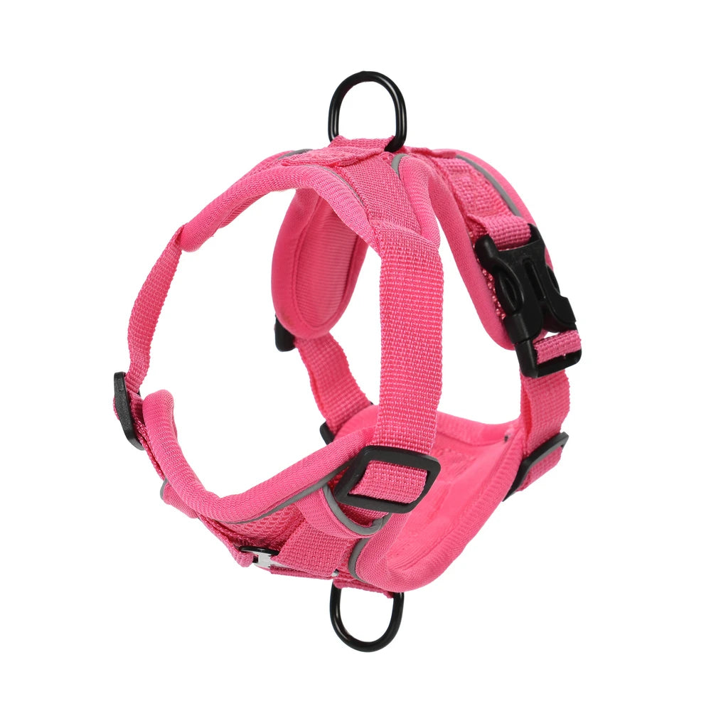 Reflective Running Dog Gear: Adjustable Harness Vest And Leash Set For Small To Medium Dogs / Rungear NZ
