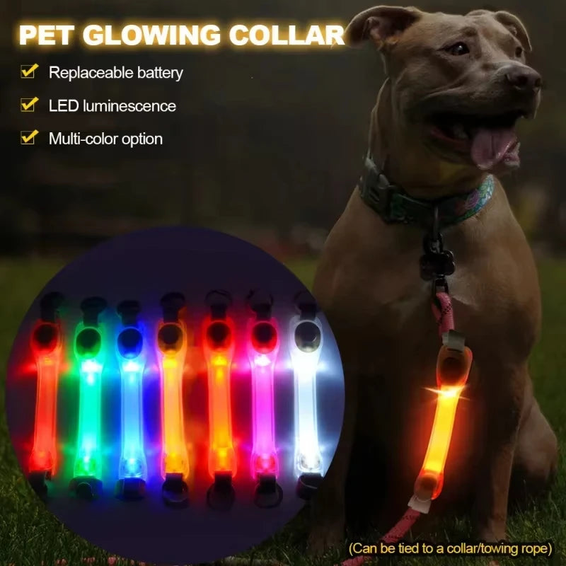 Dog LED Accessories: Night Running, Safety, Multi-Colour, Waterproof, Dog Safety Harness Flashing Collar Pendant / Rungear
