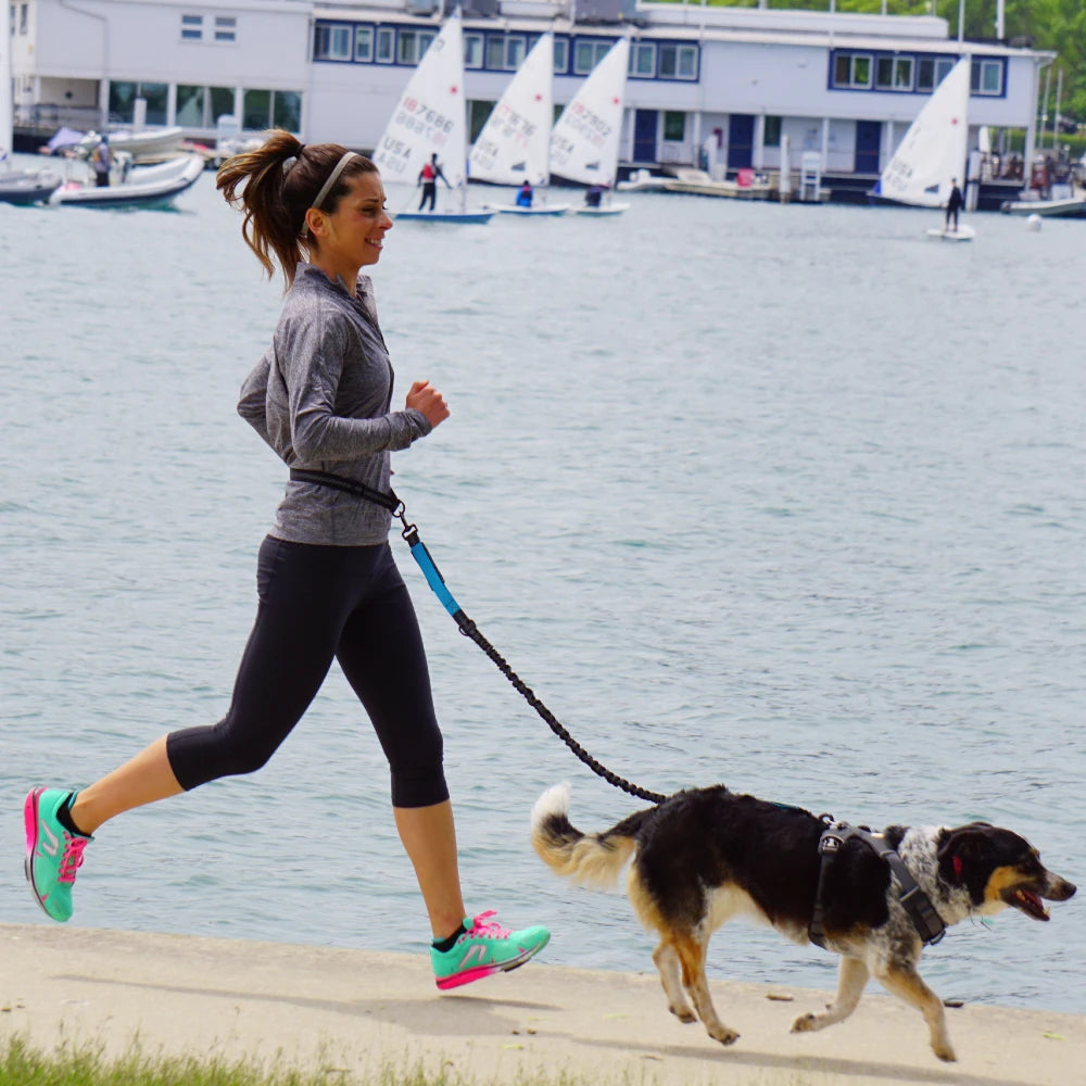 Hands-Free Dog Leash | Adjustable Waist Belt & Chest Strap for Walking, Running & Hiking