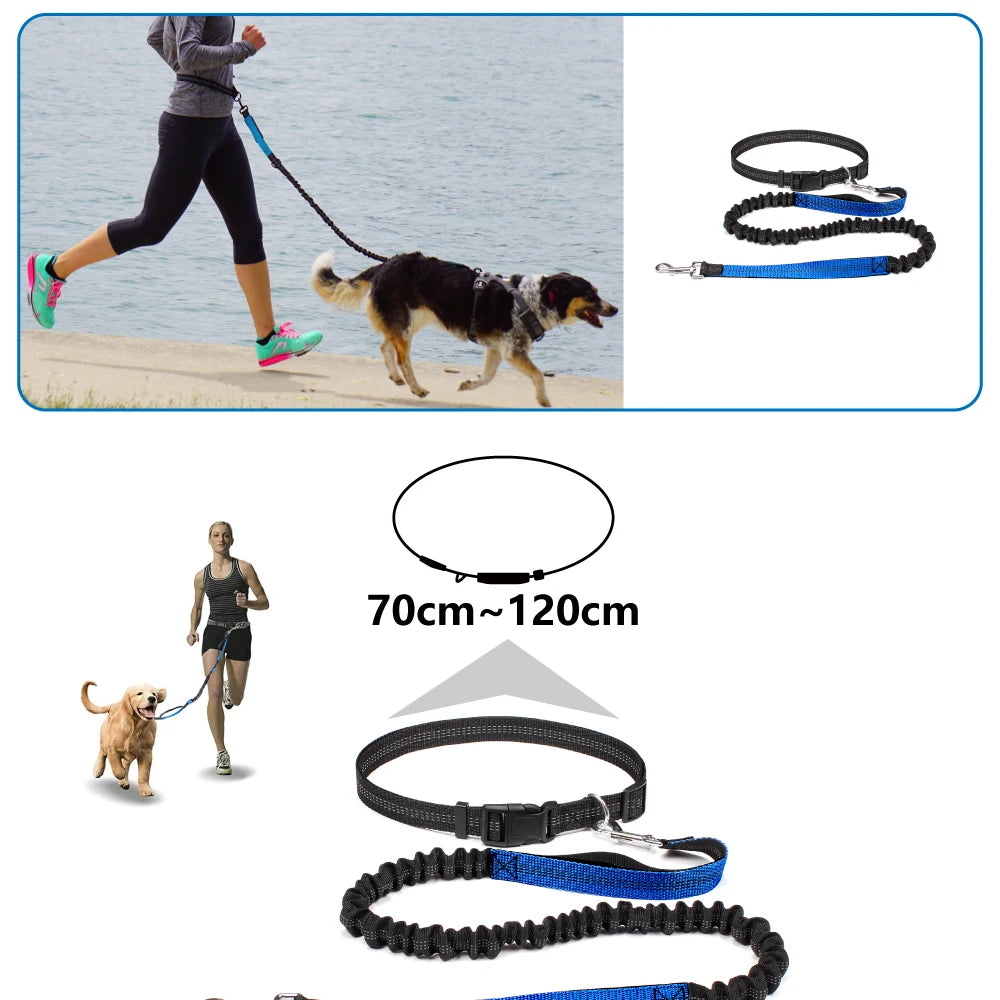 Hands-Free Dog Leash | Adjustable Waist Belt & Chest Strap for Walking, Running & Hiking