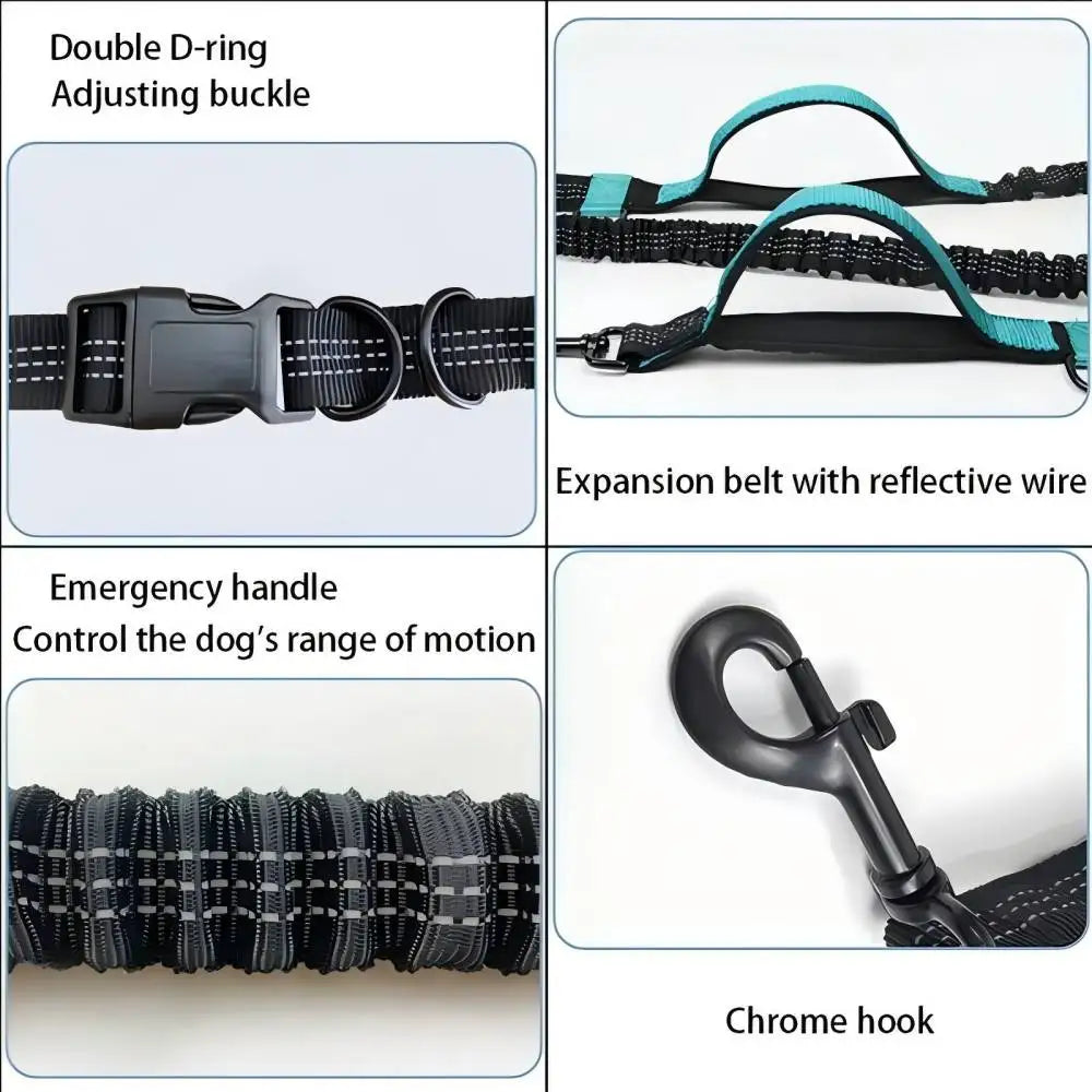 Dog Gear Accessories: Reflective, Hands Free, Retractable Belt Dog Leash with Adjustable Waist Rope For Outdoor Running / Rungear