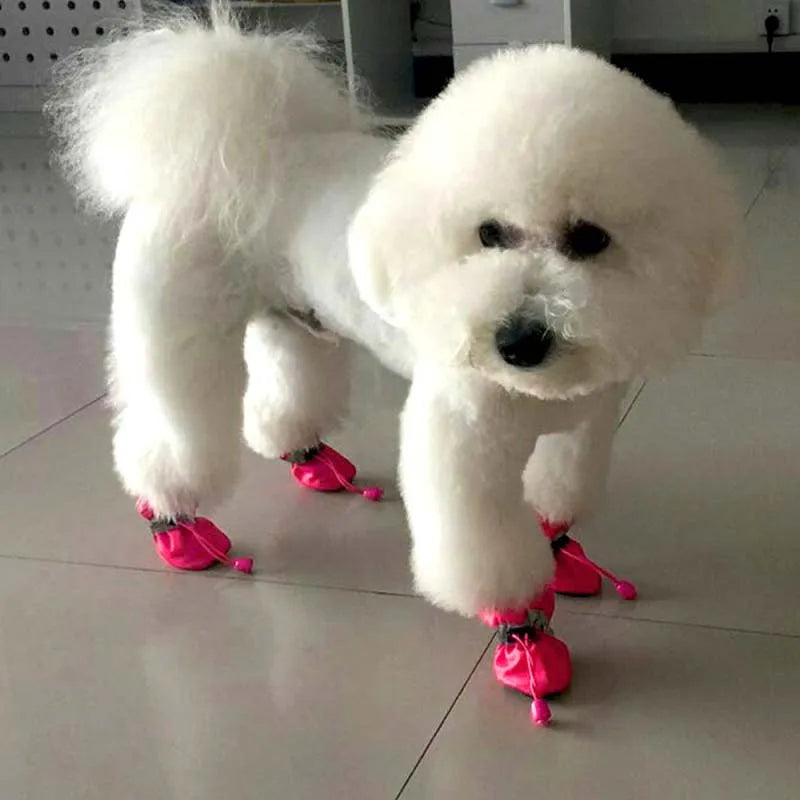 Dog Accessories Gear: Rain, Snow, Waterproof, Rubber Anti-slip Bootie Footwear For Small Dog / Rungear