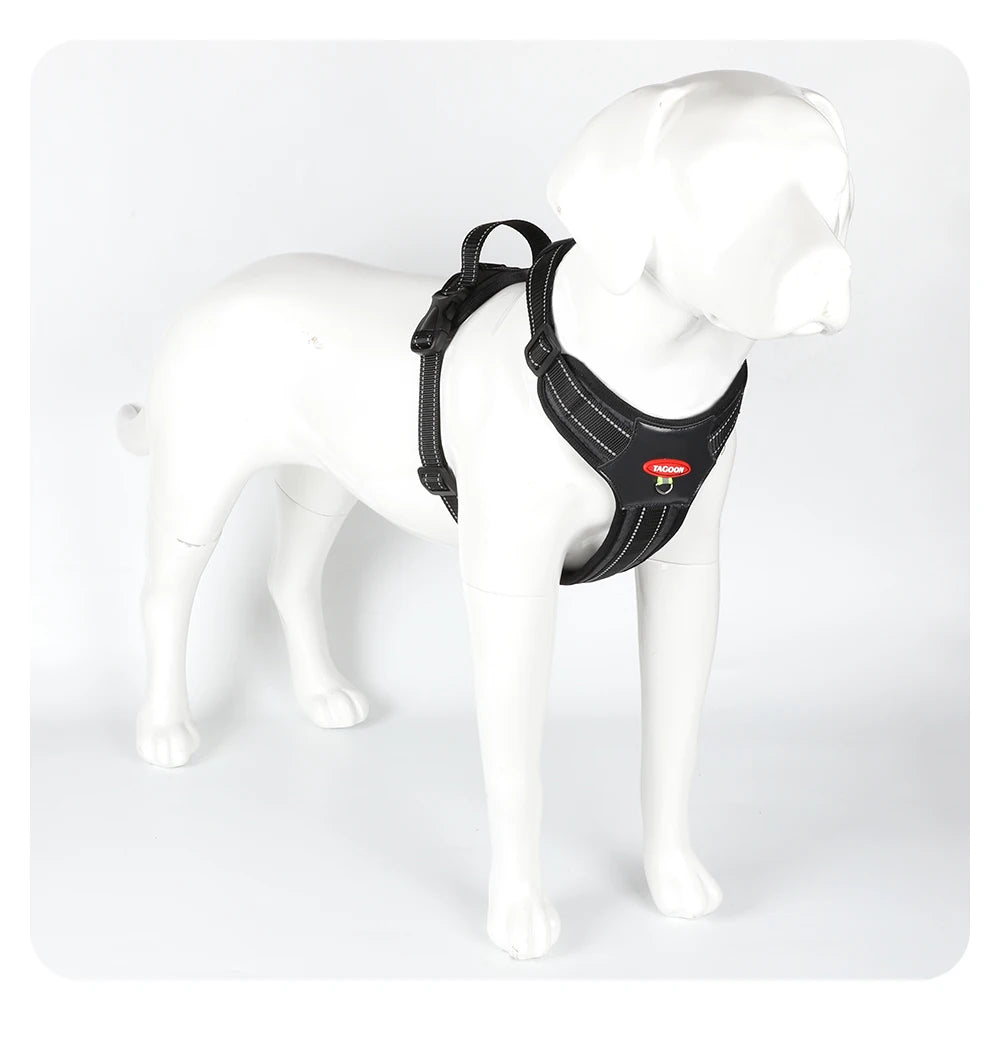 Reflective Anti-Escape Dog Harness | Nylon Halter for Small & Medium Dogs | XS–XL