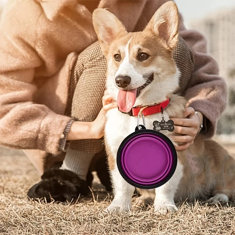 Collapsible Silicone Pet Travel Bowl with Carabiner Clip – 350ml | Dogs & Cats