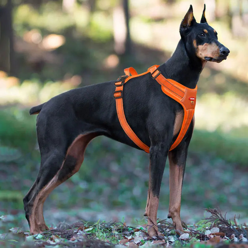 Reflective Anti-Escape Dog Harness | Nylon Halter for Small & Medium Dogs | XS–XL
