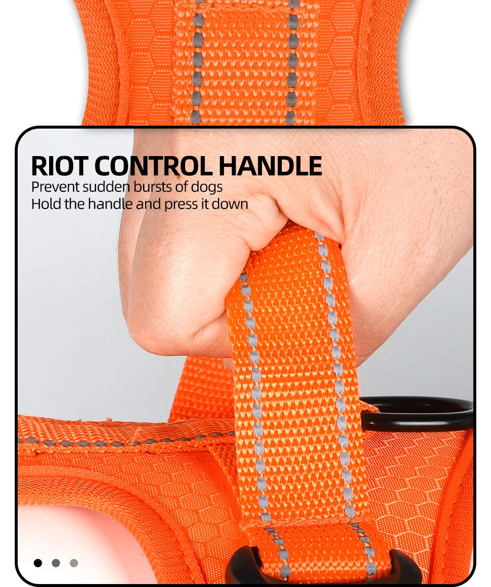 Reflective Anti-Escape Dog Harness | Nylon Halter for Small & Medium Dogs | XS–XL