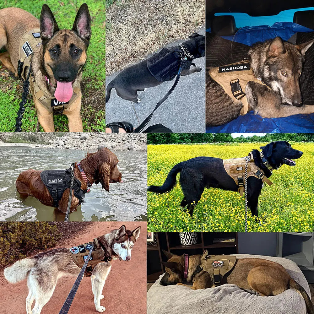 Tactical Military Dog Harness | Padded, Quick-Release Vest for Medium & Large Dogs | S–XL