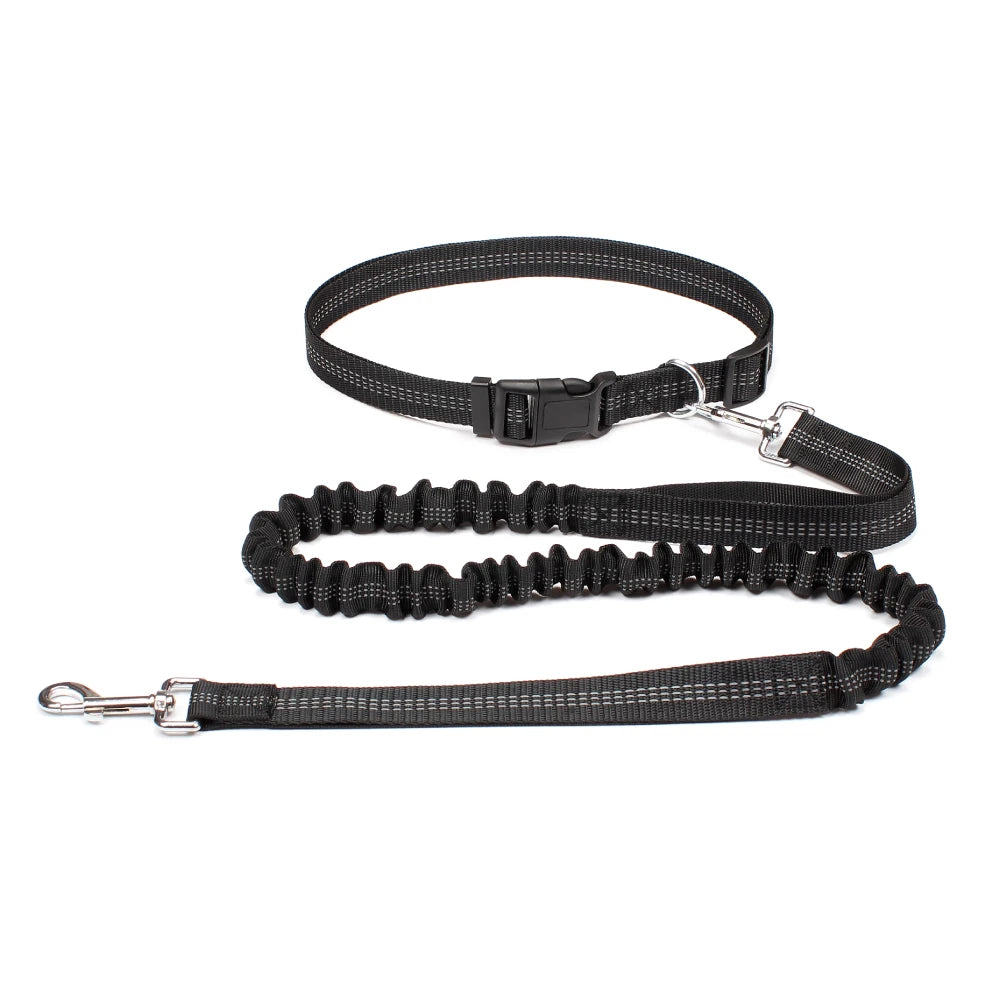 Hands-Free Dog Leash | Adjustable Waist Belt & Chest Strap for Walking, Running & Hiking
