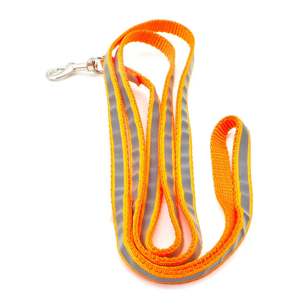 Reflective Dog Collar with Buckle & Bell | Breakaway Safety Collar for Dogs — 13 Colours