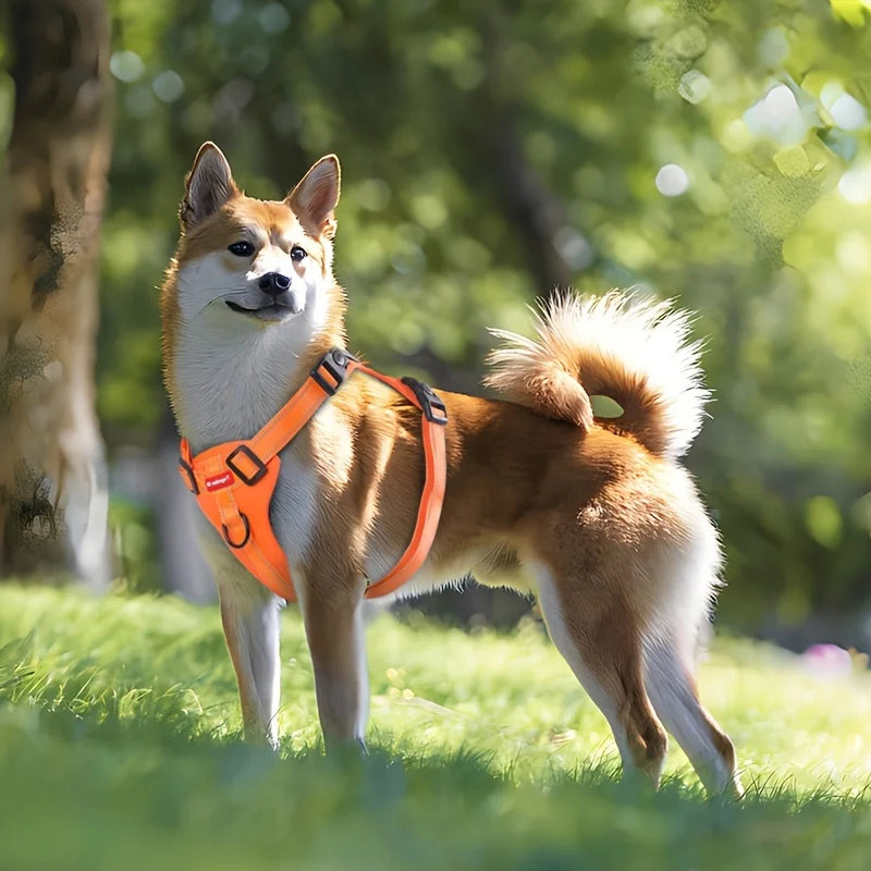 Adjustable Soft Padded Dog Harness with Easy Control Handle: Trail Running Dog Gear / Rungear