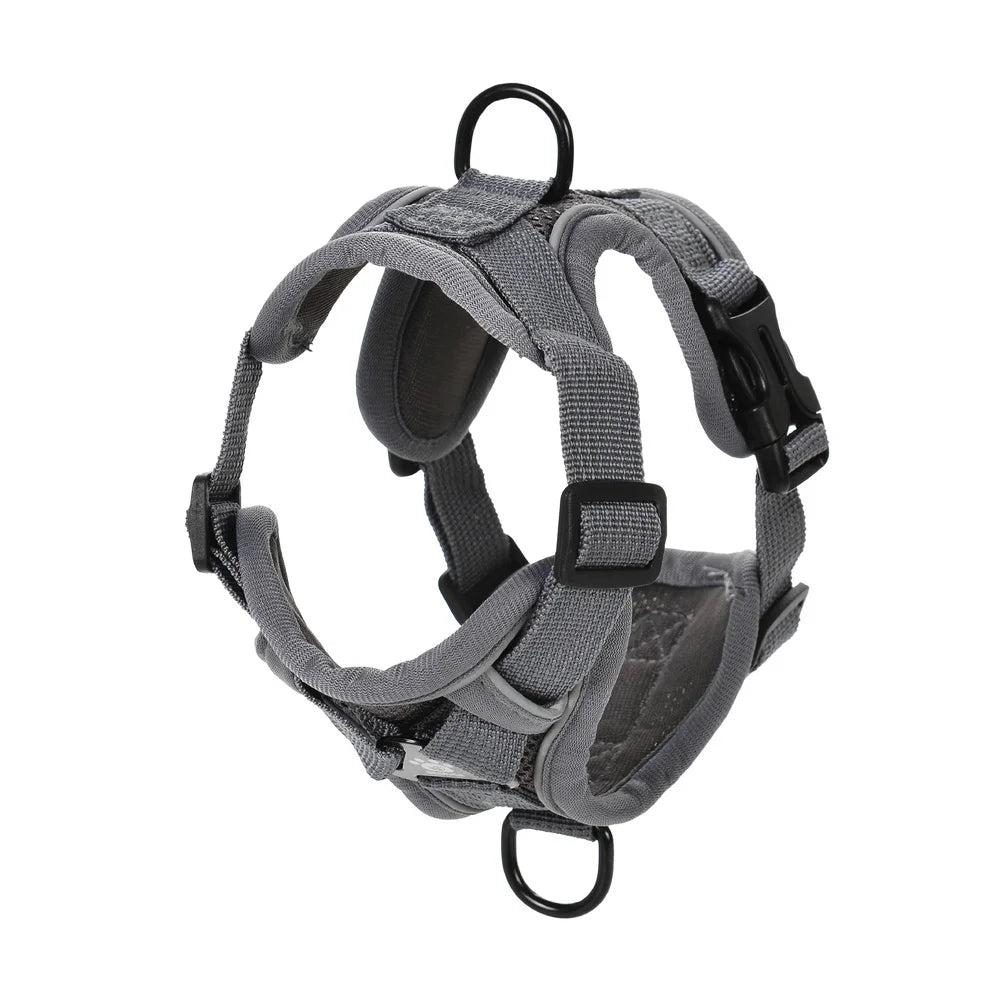 Reflective Running Dog Gear: Adjustable Harness Vest And Leash Set For Small To Medium Dogs / Rungear NZ