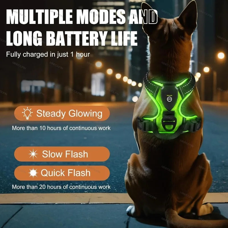 LED Rechargeable Luminous Dog Harness Essential for Dog Walking Safety at Night Dog Vest with Three LED Light Modes