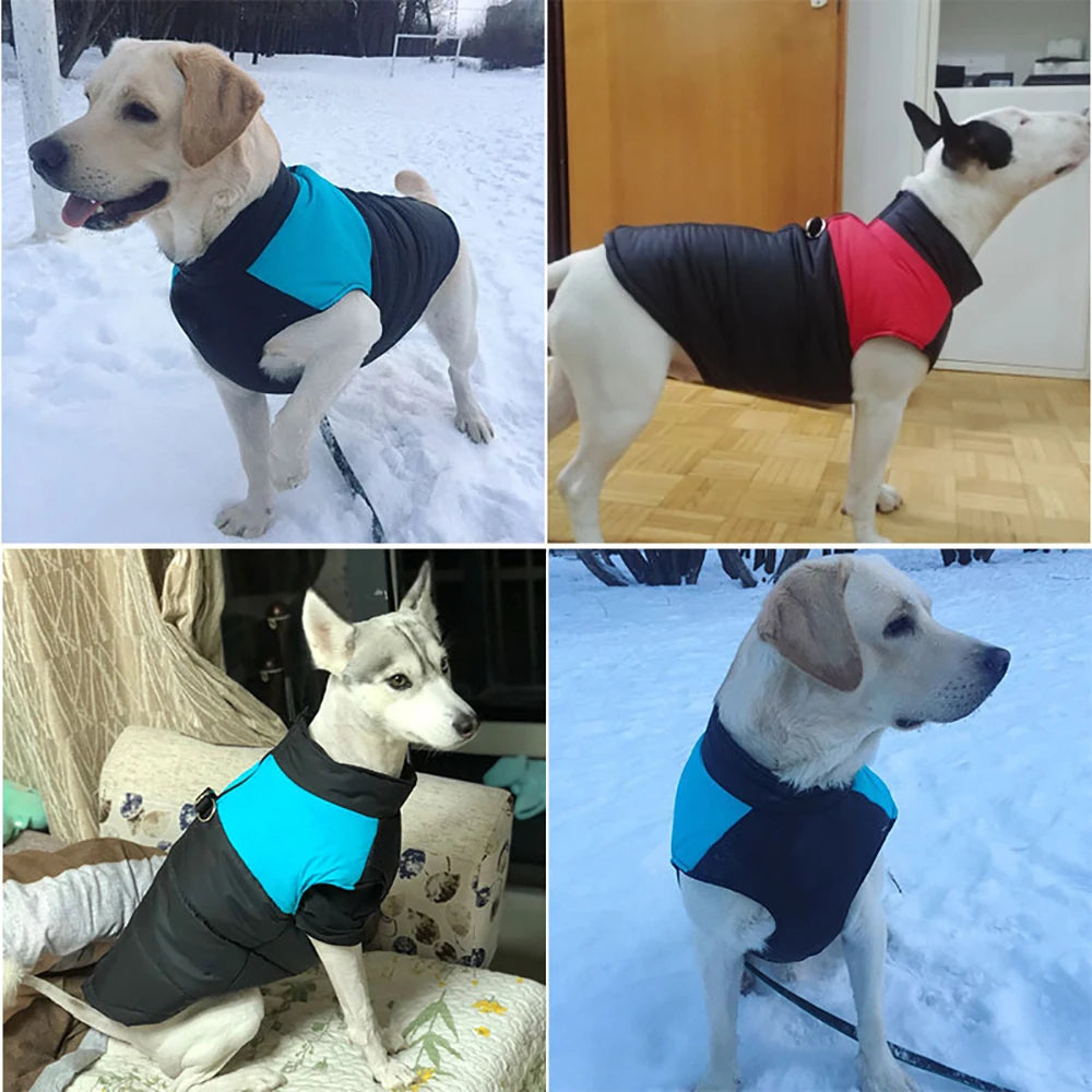 Winter Dog Accessories: Warm, Waterproof Dog Jacket for Small, Medium, Large Dogs / Rungear