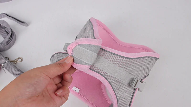 Adjustable Dog Harness Leash Set for Small Dogs