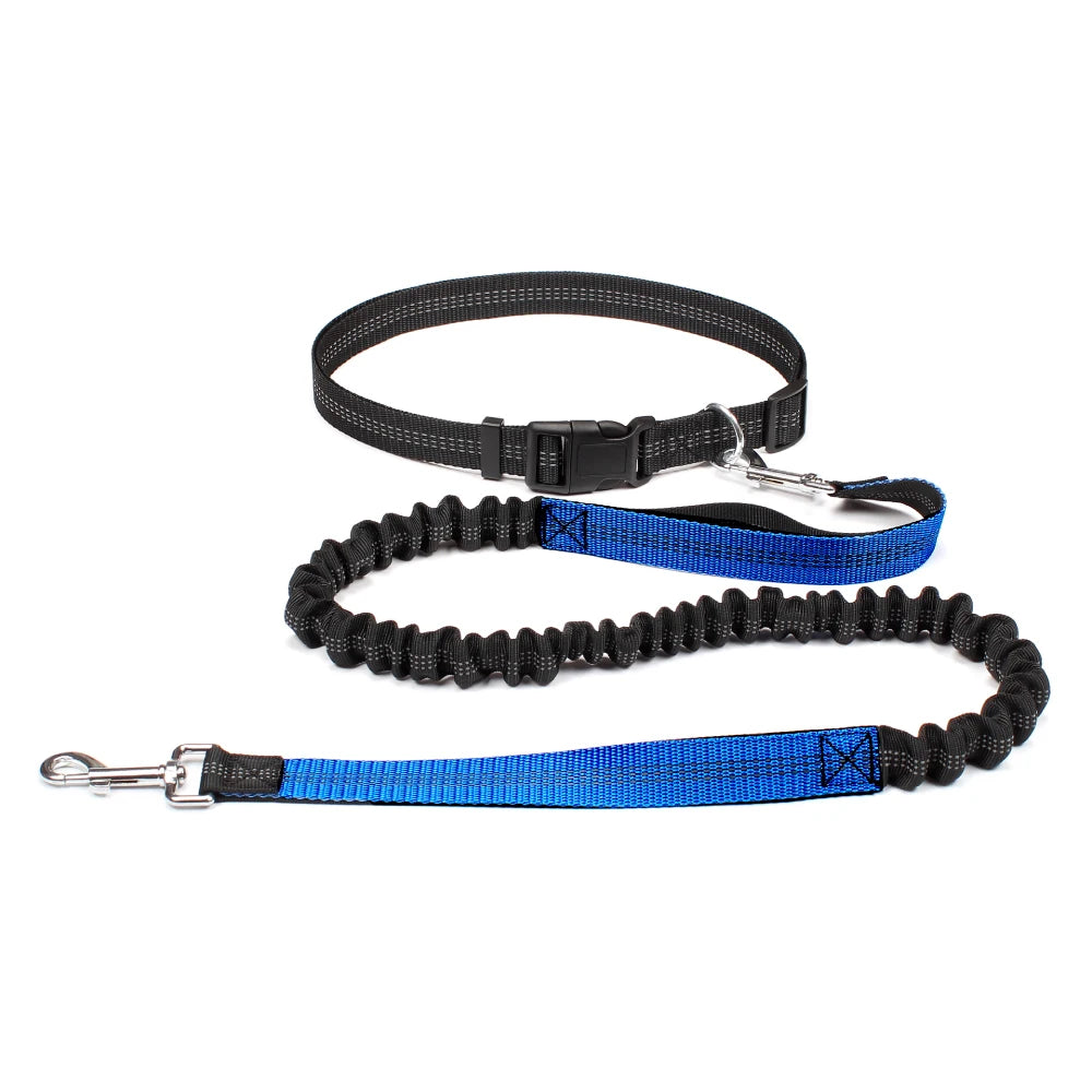 Hands-Free Dog Leash | Adjustable Waist Belt & Chest Strap for Walking, Running & Hiking