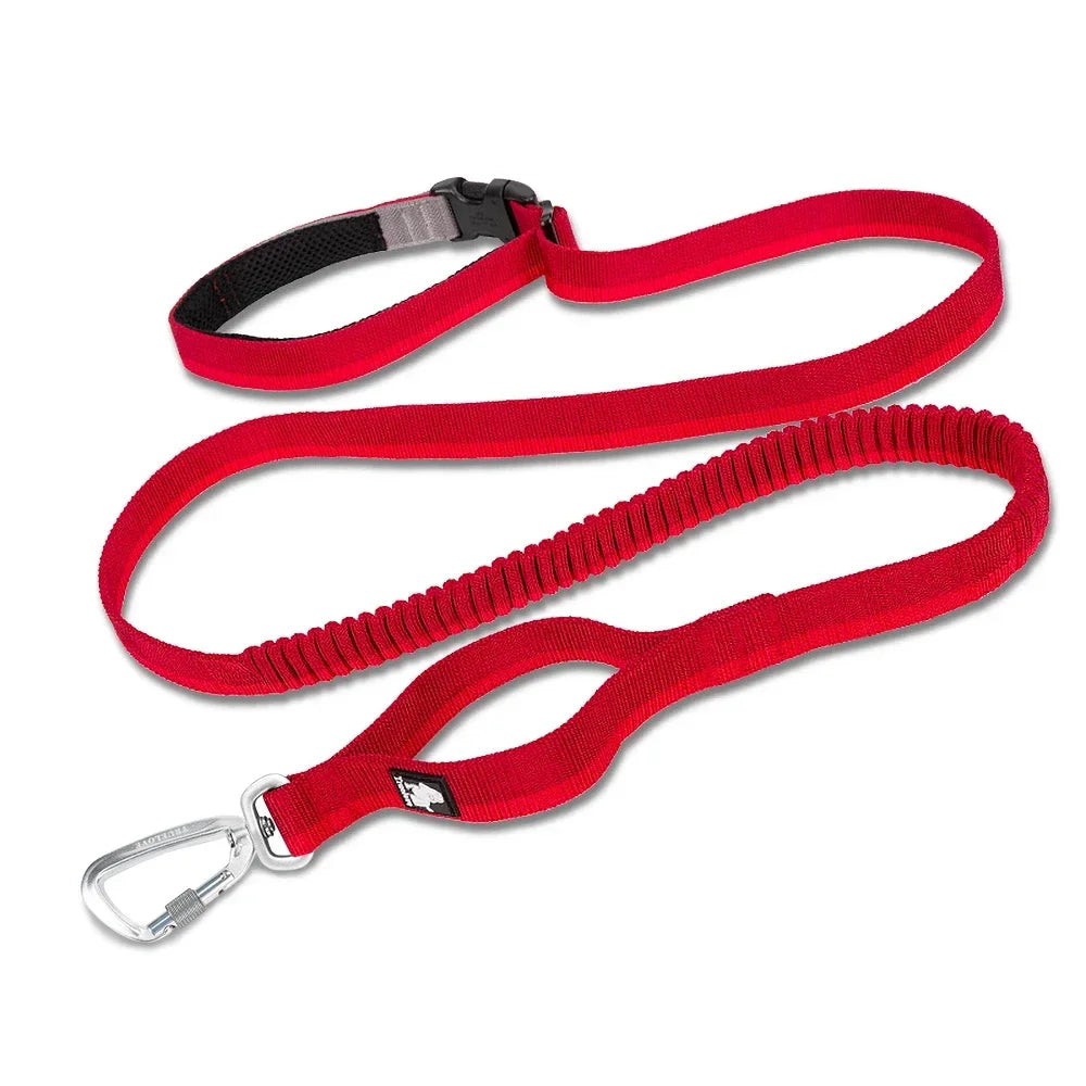 NEW Pet Hands-Free Reflective Stitching Bungee Leash For Medium to Large Dogs With Carabiner