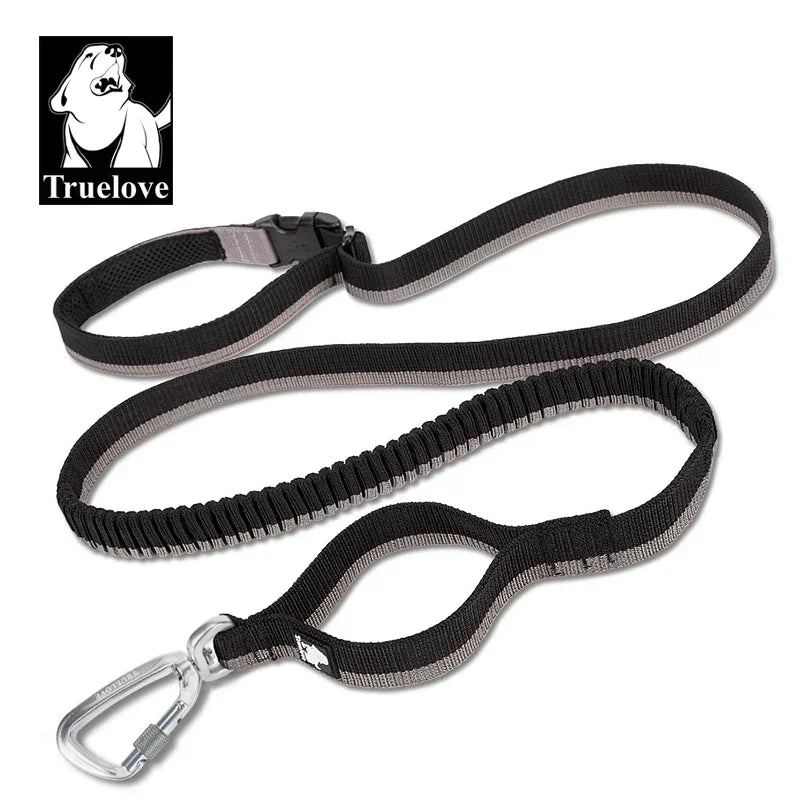 NEW Pet Hands-Free Reflective Stitching Bungee Leash For Medium to Large Dogs With Carabiner