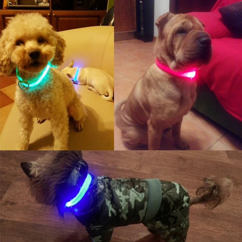 LED Light Night Safety Anti-Lost Nylon Adjustable Collar For Dogs