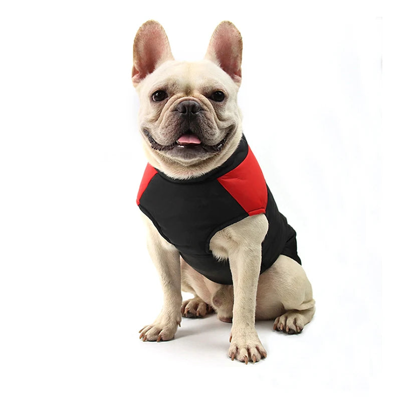 Winter Dog Accessories: Warm, Waterproof Dog Jacket for Small, Medium, Large Dogs / Rungear