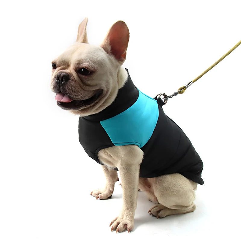 Winter Dog Accessories: Warm, Waterproof Dog Jacket for Small, Medium, Large Dogs / Rungear