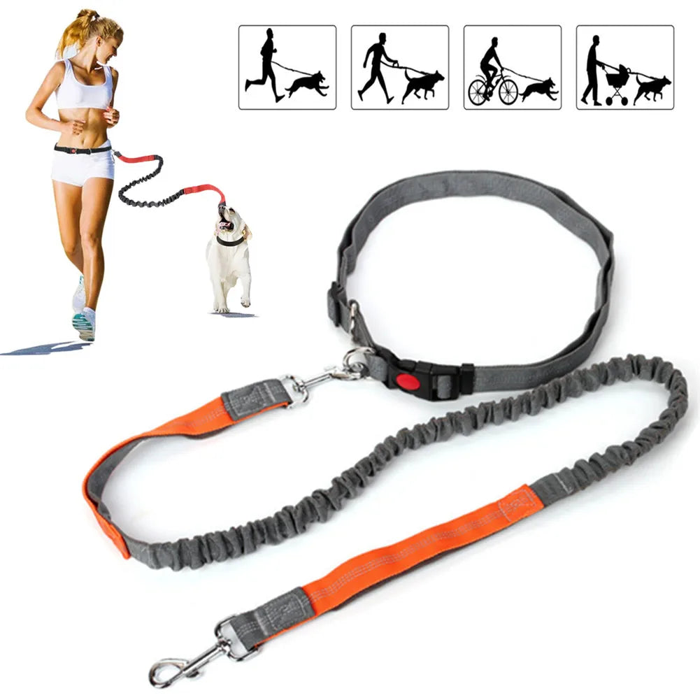 Retractable Dog Leash with Adjustable Waist Rope Hands Free Running Jogging Cycling