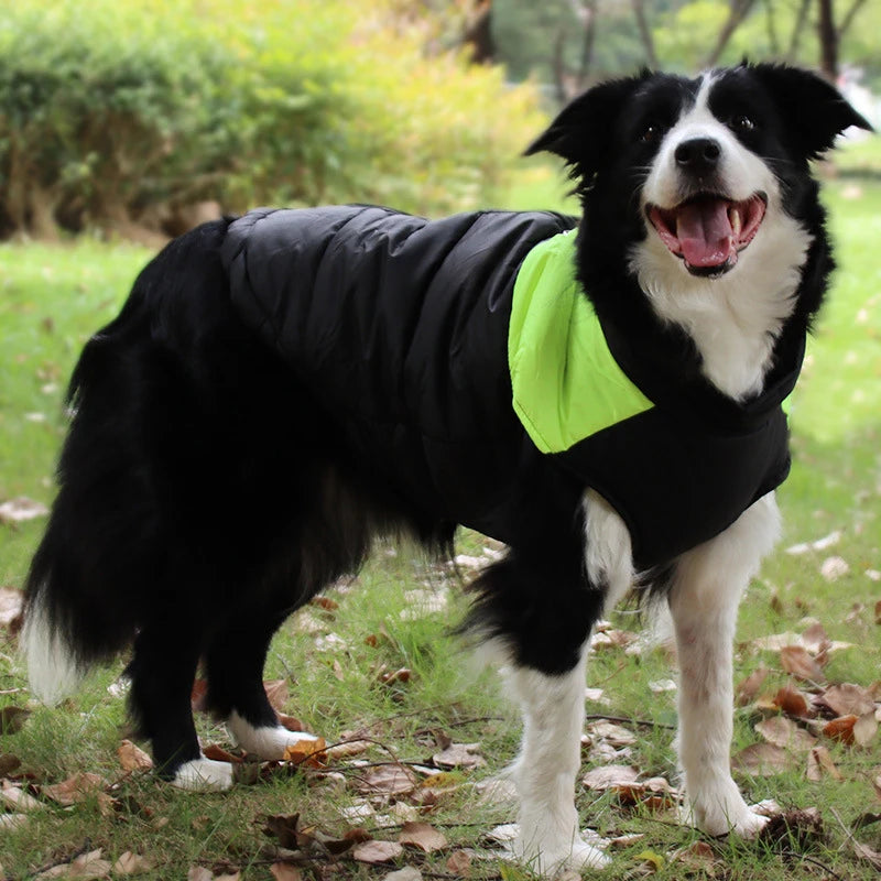 Winter Dog Accessories: Warm, Waterproof Dog Jacket for Small, Medium, Large Dogs / Rungear